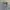Y2K Skater Formal shirt Pria gray photo 5