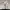 Under Armour Sportswear Casual Windbreaker Pria white black photo 2