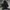Eider Gorpcore Puffer jacket Pria black photo 1