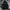 Eider Gorpcore Puffer jacket Pria black photo 2