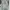 Dickies Streetwear Casual Hoody Pria gray photo 1