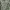 ZARA Casual Crop top Wanita green photo 4