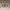 Luxury Pleated skirt Wanita tan photo 3