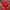 Streetwear Sportswear Jersey Pria red photo 4