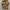 Y2K Casual Casual shirt Pria multicolor photo 1