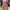 Japanese brand Luxury Fairy Summer dress Wanita pink photo 4