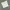 Enhypenworld Gallery Minimalist Wanita white photo 1