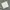 Enhypenworld Gallery Minimalist Wanita White
