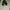Nike Vintage Streetwear Sneakers Pria black photo 2