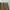 Armani	 Luxury Minimalist Legging Pria tan photo 4