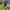 Adidas Streetwear Sportswear Jersey Pria blue photo 5