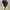 Japanese brand Vintage Streetwear Hat Pria black photo 4