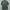 Uniqlo Y2K Casual Casual shirt Pria green black photo 1