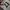 Reebok Vintage Streetwear Jersey Pria white photo 3