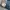 Levi's Vintage Y2K Denim jacket Pria blue photo 5