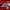 Nike Streetwear Sportswear Jersey Pria Red Black