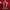 Nike Streetwear Sportswear Jersey Pria red photo 4