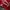 Nike Streetwear Sportswear Jersey Pria red photo 3