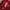 Nike Streetwear Sportswear Jersey Pria red photo 2