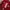 Nike Streetwear Sportswear Jersey Pria Red