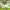 Umbro Vintage Streetwear Jersey Pria green photo 3