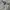 Patagonia Streetwear T-shirt Pria white photo 4