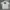 Patagonia Streetwear T-shirt Pria white photo 1