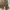 Burberry Y2K Casual Track jacket Pria brown photo 7