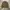 Burberry Y2K Casual Track jacket Pria brown photo 1