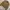 Burberry Y2K Casual Track jacket Pria brown photo 2