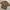 Burberry Y2K Casual Track jacket Pria brown photo 3