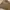 Burberry Y2K Casual Track jacket Pria brown photo 4