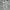 Maison Margiela Luxury T-shirt Pria white photo 3