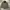 Polo Ralph Lauren Y2K Casual Puffer jacket Pria green photo 1