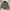Polo Ralph Lauren Y2K Casual Puffer Jacket Pria Green