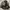 Polo Ralph Lauren Y2K Casual Puffer jacket Pria green photo 3