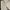 Minimalist Culotte Wanita cream photo 4