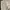 Minimalist Culotte Wanita cream photo 1