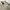NII Vintage Minimalist Harrington jacket Pria tan cream photo 3