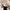NII Vintage Minimalist Harrington Jacket Pria Tan Cream