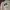 Adidas Y2K Casual Sweater Pria navy gray photo 3