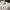 TATE Vintage Y2K Sweater Pria white black photo 4
