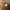 Spao Vintage Casual Parka Pria tan brown photo 4