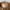 Spao Vintage Casual Parka Pria tan brown photo 3