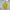 Polo Ralph Lauren Casual Polo shirt Pria yellow photo 1