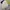 Converse Sportswear Minimalist Jersey Pria white yellow photo 3