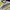 Converse Sportswear Minimalist Jersey Pria white yellow photo 2