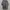 Wrangler Y2K Casual Casual shirt Pria gray photo 1