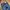 True Religion Vintage Jeans Pria Navy