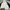 Streetwear Bomber Jacket Pria White Black
